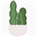 Blue Columnar Cactus Nature Gardening Icon