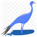 Blue Crane Peacock Paradise Crane Icon