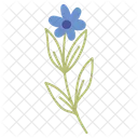 Blue Daisy Love Valentine Symbol