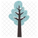 Blue Eucalyptus Winter Tree Winter Icon