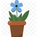 Blue Flower Flower Plant Icon