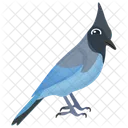 Blue Jay Mockingbird Feather Creature Icon
