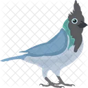 Blue Jay Feather Creature Fowl Icon