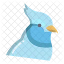 Blue Jay Birds Bird Icon