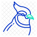 Blue Jay Icon