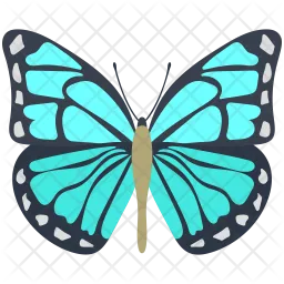 Blue Morpho Butterfly  Icon