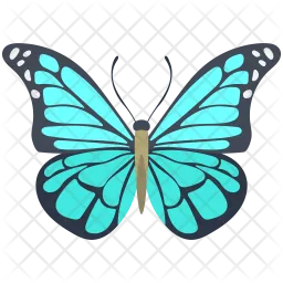 Blue Morpho  Butterfly  Icon