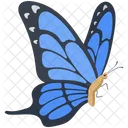 Morpho Wildlife Hexapod Icon