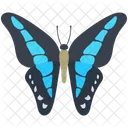 Morpho Wildlife Hexapod Icon