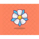 Blue Plumbago Spring Flower Agriculture Icon