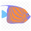 Blue Ring Angelfish Sea Creature Animal Icon