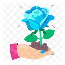 Rose Cartoon Rose Stickers Blooming Flowers Icon