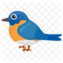 Blue Sparrow Canadian Sparrow Indigo Bunting Icon