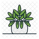 Plants Vector Illustration Perfect For Your Website App Or Content アイコン