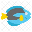 Blue Tang  Icon