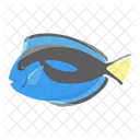 Blue Tang Fish Icon
