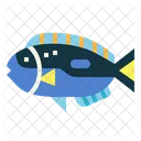 Blue Tang  Icon