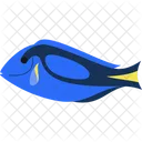 Blue Tang Fish Animal Sea Icon
