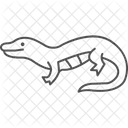 Bluetonguedskink Reptile Scaly Icon