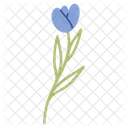 Blue Tullip Love Valentine Icon