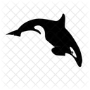 Orca Whale Killer Whale Ocean Icon