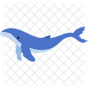 Blue Whale Whale Mammal Icon