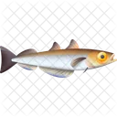 Fish Food Seafood Icon
