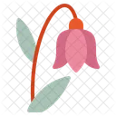 Poppy Balloon Flower Hyacinth Icon