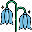 Bluebell Icon