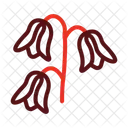 Bluebell Poppy Nature Icon