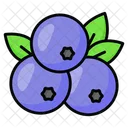 Blueberries  Icône