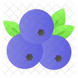 Blueberries  Icon