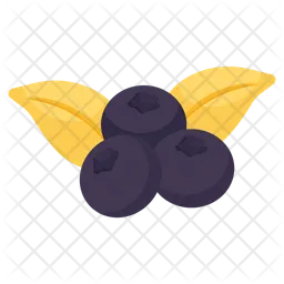 Blueberries  Icon