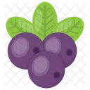 Blueberries Raspberry Purple Icon