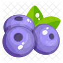 Blueberries Fruit Healthy Food Icon