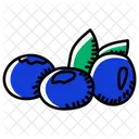 Fruit Blueberries Berries Icon