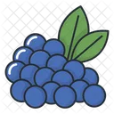 Fruit Fruits Healthy Icon