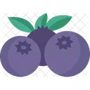 Blueberries Fruit Berry Icon