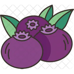 Blueberries  Icon