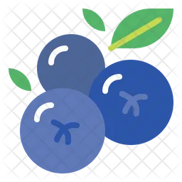 Blueberries  Icon