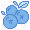 Blueberries  Icon