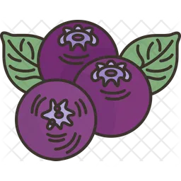 Blueberries  Icon