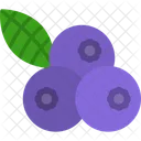 블루베리 과일 음식 아이콘