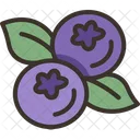 Blueberries  Icon