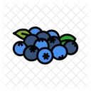 Blueberries Bunch Blueberries Bunch Icon
