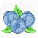 Blueberries Berries Chokeberries Icon