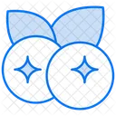 Blueberries  Icon