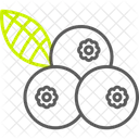 Blueberries  Icon