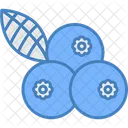 Blueberries  Icon