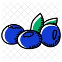 Blueberries  Icon